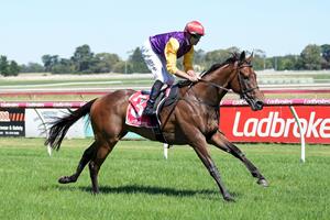 SASSY CANTERS HOME AT SALE